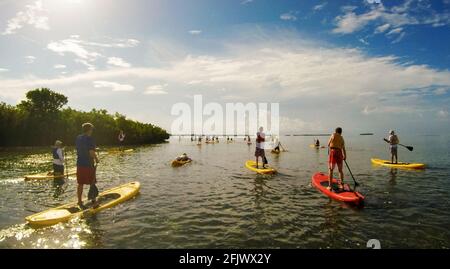 Paddle-board dans les Florida Keys. Banque D'Images