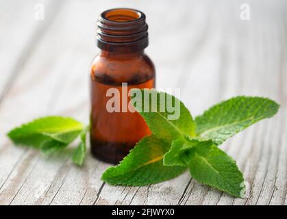 Feuilles de menthe avec huile essentielle dans une bouteille Banque D'Images