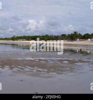 Porto Seguro, Etat de Bahia, Brésil juin 2008: Paysage de la plage de Pataxò Banque D'Images