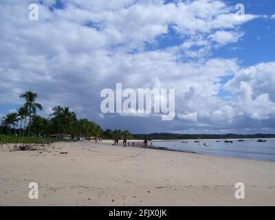 Porto Seguro, Etat de Bahia, Brésil juin 2008: Paysage de la plage de Pataxò Banque D'Images