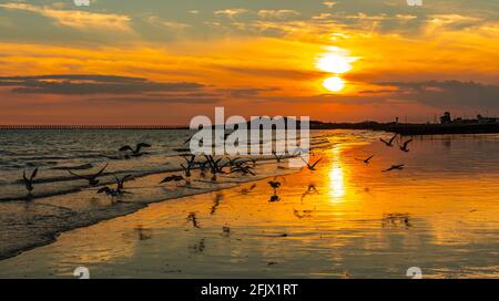 La réflexion du soleil sur une plage au coucher du soleil avec les mouettes volant bas, sur la côte sud dans la région de West Sussex, UK. Concept de tranquillité. Paisible. La paix. Banque D'Images