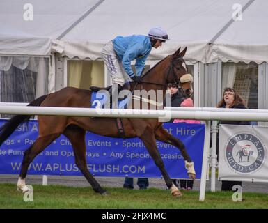 Une journée à l'hippodrome de Ludlow à Shropshire Banque D'Images