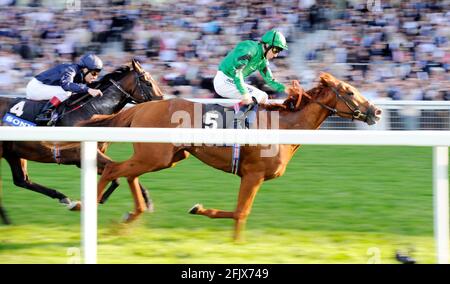 COURSE À ASCOT 27/9/2008. QUEEN ELIZABETH 11 PIQUETS. JIMMY FORTUNE SUR RAVEN PASS GAGNANT DE HENRYTHENAVIGATOR. PHOTO DAVID ASHDOWN Banque D'Images