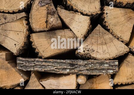 Les cendres blanches empilées de l'est sont coupées pour le bois de feu dans le Vermont, en Nouvelle-Angleterre, aux États-Unis. Banque D'Images