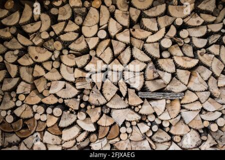 Les cendres blanches empilées de l'est sont coupées pour le bois de feu dans le Vermont, en Nouvelle-Angleterre, aux États-Unis. Banque D'Images