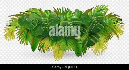 Feuilles tropicales branche de palmier composition réaliste avec image de vert pile de feuilles isolée sur une illustration vectorielle d'arrière-plan transparente Illustration de Vecteur