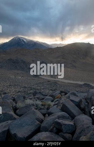 Les Tungsten Hills sont situés à l'extérieur de Bishop, dans le comté d'Inyo, en Californie, et offrent une vue magnifique sur les montagnes environnantes. Banque D'Images