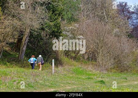 Un couple de personnes âgées s'est évertie à flanc de colline sur la piste de North Downs Way à White Downs près de Dorking lors d'une journée de printemps ensoleillée, Surrey Hills, Angleterre, Royaume-Uni Banque D'Images