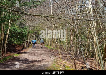 Un couple de personnes âgées se bat à flanc de colline sur North Downs Way Sentier à White Downs, près de Dorking, au cours d'une source ensoleillée Day, Surrey Hills, Angleterre, Royaume-Uni Banque D'Images