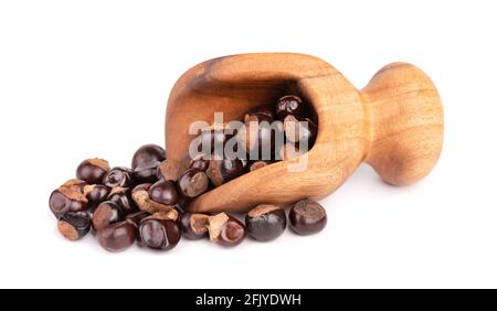 Graines de guarana en pelle en bois, isolées sur fond blanc. Supplément alimentaire guarana, source de caféine pour boissons énergétiques. Banque D'Images