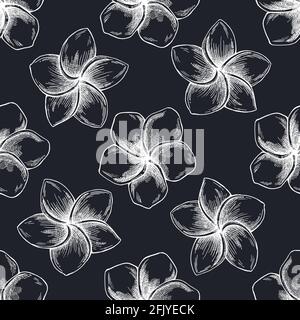 Motif sans couture et plumeria à la craie dessinés à la main Illustration de Vecteur