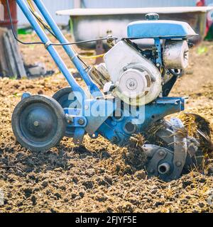 Motoculteurs cultivateur pour le travail du sol. Jardinage. Mise au point sélective Banque D'Images