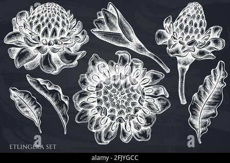 Ensemble vectoriel de craies et de lingera dessinées à la main Illustration de Vecteur