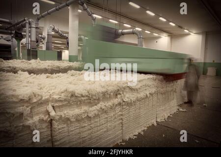 Rouleau de coton dans un trieur de coton et nettoyant dans une unité de filature de fils dans une usine de textile. Banque D'Images