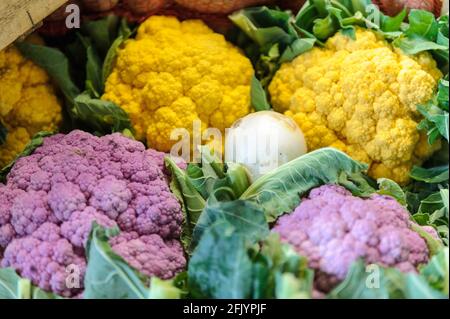 Mercato Centrale Roma, marché central de Rome, via Giolitti 36 rue, Rome, Lazio, Italie, Europe Banque D'Images