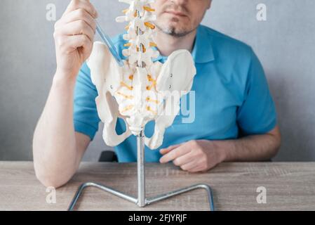 Main de médecin mâle pointant vers l'articulation sacro-iliaque SIJ sur le modèle de squelette de colonne vertébrale gros plan, physiothérapeute pointant vers le modèle de colonne vertébrale dans la clinique Banque D'Images