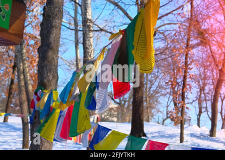 Les drapeaux de prière tibétains bouddhistes volent sur le vent sur fond d'arbres. Lumière du soleil visible à travers des drapeaux de prière colorés. Banque D'Images