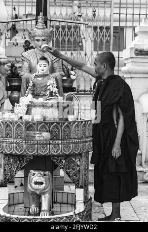 Un moine bouddhiste verse de l'eau sur UNE statue de Bouddha à la Pagode Shwedagon, Yangon, Myanmar. Banque D'Images