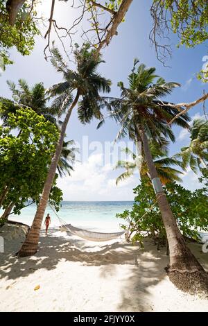 Un hamac est suspendu entre des palmiers sur la plage de l'île de Bandos aux Maldives. Une femme entre dans la mer. Banque D'Images