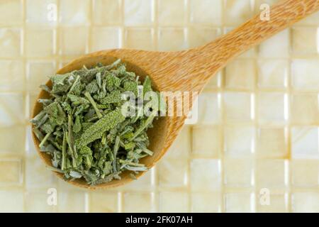 Gros plan de feuilles de sauge séchées pour préparer du thé aux herbes dans une cuillère en bois, vue du dessus, sur fond de carreaux jaunes (salvia officinalis) Banque D'Images