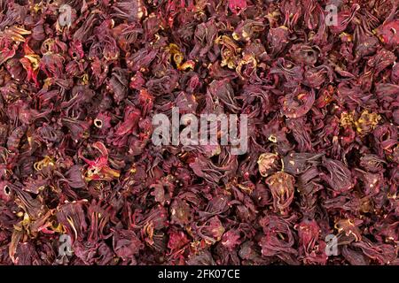 Gros plan sur la texture des fleurs d'hibiscus de Roselle séchées en rouge foncé Couleur pour faire du thé aux herbes (Hibiscus sabdarrifa) Banque D'Images