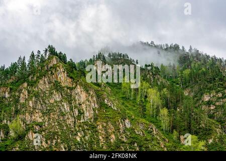 Montagne Altai, sommets de montagne couverts de brouillard, paysage pittoresque Banque D'Images
