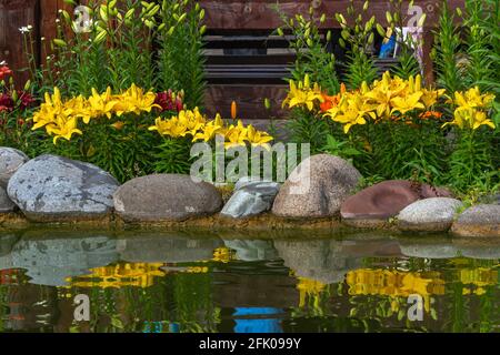 Magnifique étang décoratif décoré de grands rochers et de lys jaunes Banque D'Images