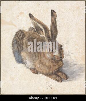 Albrecht Dürer, Young Hare, peinture aquarelle sur papier, 1502, Musée Albertina, Vienne, Autriche Banque D'Images