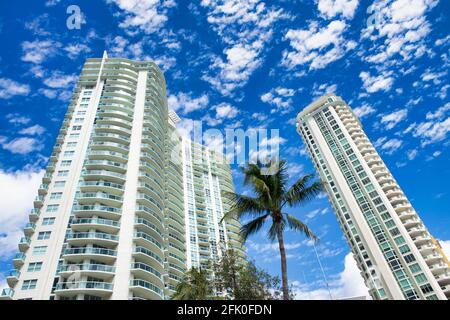 Gratte-ciel de fort Lauderdale avec palmiers et ciel bleu, Floride Banque D'Images
