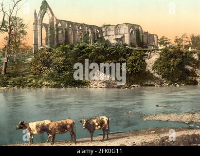 Bolton Abbey et la rivière Wharfe dans le Yorkshire vers 1890-1900 Banque D'Images