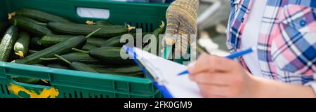 vue rognée de la femme écrivant sur le presse-papiers près de fermier avec boîte de concombres frais, bannière Banque D'Images