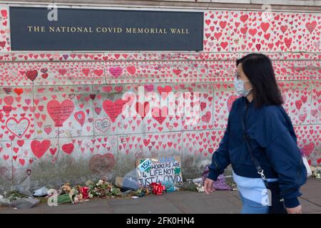 Londres, Royaume-Uni, 27 avril 2021 : les visiteurs rendent des hommages au mur commémoratif national de Covid alors que le Premier ministre Boris Johnson est toujours accusé d'avoir préféré que les « corps s'accumulent » plutôt que d'avoir un troisième verrouillage. Avec un coeur dessiné pour chacun des plus de 150,000 personnes qui sont mortes dans la pandémie de coronavirus au Royaume-Uni, le mémorial s'étend le long du mur de l'hôpital St Thomas, en face du Parlement sur la rive opposée de la Tamise. Anna Watson/Alay Live News Banque D'Images