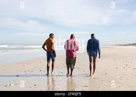 Vue arrière du père afro-américain et de ses deux fils marche ensemble à la plage Banque D'Images