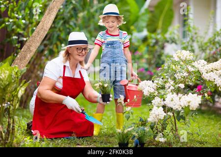 Jardinage de femme et d'enfant. Grand-mère et petit garçon au soleil chapeau arroser les plantes et les fleurs du jardin. Les enfants travaillent dans une belle cour ensoleillée en pleine floraison. Banque D'Images