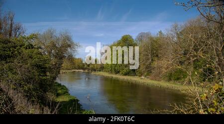 Stockbridge, Hampshire, Angleterre, Royaume-Uni. 2021. Le célèbre chalk Stream River Test comme il coule à travers le comté du Hampshire dans le sud de l'Angleterre du Royaume-Uni Banque D'Images