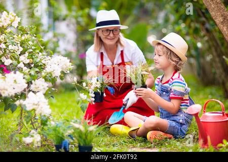 Jardinage de femme et d'enfant. Grand-mère et petit garçon au soleil chapeau arroser les plantes et les fleurs du jardin. Les enfants travaillent dans une belle cour ensoleillée en pleine floraison. Banque D'Images