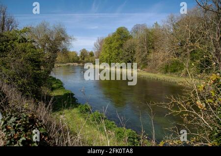 Stockbridge, Hampshire, Angleterre, Royaume-Uni. 2021. Le célèbre chalk Stream River Test comme il coule à travers le comté du Hampshire dans le sud de l'Angleterre du Royaume-Uni Banque D'Images