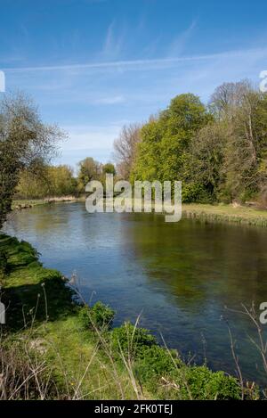 Stockbridge, Hampshire, Angleterre, Royaume-Uni. 2021. Le célèbre chalk Stream River Test comme il coule à travers le comté du Hampshire dans le sud de l'Angleterre du Royaume-Uni Banque D'Images