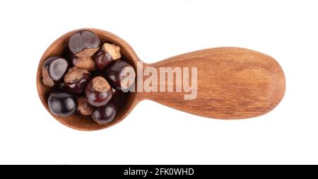 Graines de guarana en cuillère en bois, isolées sur fond blanc. Supplément alimentaire guarana, source de caféine pour boissons énergétiques. Vue de dessus. Banque D'Images