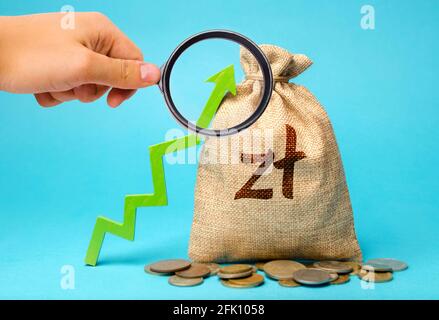 Sac d'argent zloty polonais et flèche verte vers le haut. Croissance de l'économie et augmentation de l'attractivité des investissements. Marchés en développement. Conce d'affaires et de finances Banque D'Images