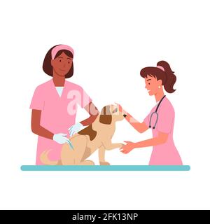 Patient chien rendez-vous à la clinique vétérinaire illustration vecteur Cartoon vétérinaire médecin femme caractère dans l'uniforme médical rose travaillant, tenant chien Illustration de Vecteur