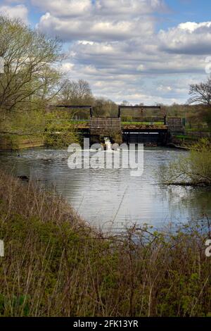 Porte de l'écluse sur l'Ouse, marche sur le sentier de l'Ouse un après-midi de printemps, Sussex, Angleterre Banque D'Images