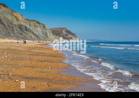 Vue sur Golden Cap sur la côte jurassique le long de la plage de Charmouth, Dorset, Angleterre Banque D'Images