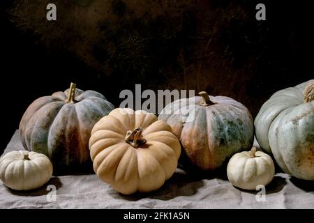 Collection de citrouilles colorées différentes tailles et cultivars sur la nappe de lin. Vie sombre. Récolte d'automne. Banque D'Images