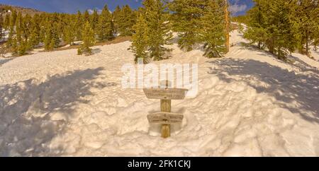 11,400 foot Marker sur le chemin de Humphrey's Peak Banque D'Images