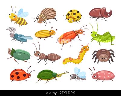 Coléoptère de dessin animé. Punaises souriantes, coléoptères pour les enfants. Insectes heureux, coccinelle et chenille, larve. Illustration du vecteur mondial de la forêt sauvage Illustration de Vecteur