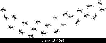 Colonne ANT. Voyage de silhouettes d'insectes noirs. Travail d'équipe, métaphore du travail acharné. Vie forestière, illustrations vectorielles de la marche des fourmis isolées Illustration de Vecteur