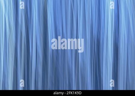 Un flou de mouvement doux sur l'arrière-plan avec des lignes verticales dans les nuances de bleu des arbres à travers le mouvement intentionnel de la caméra Banque D'Images