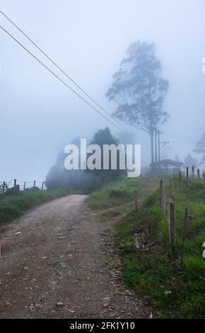 Beaux paysages naturels colombiens, villes, ciel bleu, animaux dans leur habitat naturel. Banque D'Images