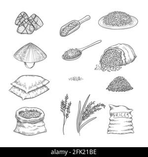 Riz Doodle. Collection de nature agricole de sacs de riz grains vecteur tiré à la main Illustration de Vecteur